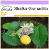SAFLAX - Słodka Granadilla - 20 Nasiona - Passiflora Podgląd zdjęcia produktu 5