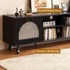TV-Schrank mit RGB-Beleuchtung, Doppeltür aus Glas, Produktbild-Vorschau 8