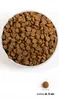 ACANA Classics Wild Coast - Trockenfutter für Hunde - 14 5 Produktbild-Vorschau 15