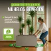 PFLANZWERK® Pflanzenroller 80x28cm Pflanzkübel Blumentopf Produktbild-Vorschau 4