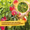 Solabiol® Grundstoff Lecithin Rosen-Spray anwendungsfertig Produktbild-Vorschau 7