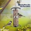 Edelstahl Vogelfutterstation wetterbeständig Vogel Produktbild-Vorschau 2