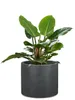 Scheurich Panzano 50, Pflanzgefäß/Blumentopf/Pflanzkübel, Produktbild-Vorschau 5