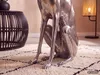 FineBuy Dekoration Design Dog aus Aluminium silbern Produktbild-Vorschau 7