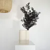 Ruscus conservé - Fleurs séchées de fragon - 1 à 5 tiges Voir les images du produit 7