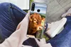MuchoWow® Handyhülle Schutzhülle Hülle für Huawei P30 Lite Produktbild-Vorschau 3