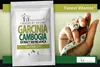 Garcinia Cambogia 300mg - 100 Tabletten - Extrakt - 60% HCA Produktbild-Vorschau 7