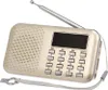 Y-896 Mini FM rádio, přenosné rádio, Hi-Fi kvalita zvuku, Náhled obrázku produktu 1