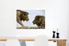 MuchoWow® Poster Löwen - Freunde 90x60 cm - Schlafzimmer Produktbild-Vorschau 5