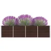 A raised garden bed with three purple flowering plants. Podgląd zdjęcia produktu