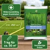 Graines de gazon « Wunder Rasen », 1 kg Voir les images du produit 5