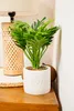 Fleur artificielle en pot - palmier ETNIK, 29 cm Voir les images du produit 7