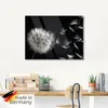 ARTland Glasbild Pusteblume Größe: 60x45 cm Produktbild-Vorschau 5