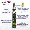 A CO2 cylinder for a soda maker, with various features highlighted by text and lines. Anteprima dell’immagine prodotto