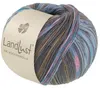 Lana Grossa - Landlust die Sockenwolle 0616 türkis grau Produktbild-Vorschau 1