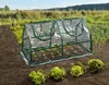 Parkside® Frühbeet Treibhaus Gewächshaus Folienfrühbeet Produktbild-Vorschau 4