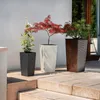 Three planters with plants on a patio. Náhled obrázku produktu