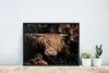 MuchoWow® MuchoWow® Gerahmtes Poster Schottisches Produktbild-Vorschau 5