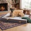 Cama para perros WISFOR, cojín para mascotas, cama para Vista previa de la imagen del producto 2
