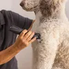 Zona agricola Wahl Max Go Tosatrice per cani Batteria con Anteprima dell’immagine prodotto 4