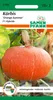 Artikelbild 1 von 'Hokkaidokürbis Orange Summer F1' aus der Kategorie Hokkaidokürbissamen Produktbild-Vorschau