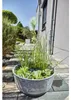 Solar Wassergarten AQUATOPIA inkl. Wasserspielpumpe - Produktbild-Vorschau 11