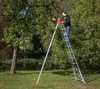 A person is picking apples from a tree using a ladder. Voir les images du produit