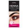 JOANNA Henné pour sourcils et cils Crème 1.0 Noir 15ml Voir les images du produit 1