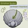 Orchideentopf Transparent Orchideen Übertopf Orchideentopf Produktbild-Vorschau 4