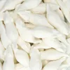 HARIBO WEISSE MÄUSE Schaumzucker 150 St. Produktbild-Vorschau 5