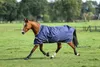 A brown horse wearing a navy blue turnout blanket is running in a grassy field with trees in the background. Produktbild-Vorschau