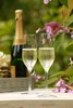 Stölzle Lausitz Stölzle Champagnerflöte Ultra 19 cl - Produktbild-Vorschau 6