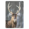 MuchoWow® Mauspad Mousepad Hirsch - Weiß - Braun - Geweih Produktbild-Vorschau 1