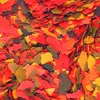 A close-up, overhead view of colorful fish food flakes. Podgląd zdjęcia produktu