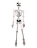 Aufblasbares Skelett 183 cm - Knochengerüst Knochenmann Produktbild-Vorschau 1