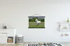 MuchoWow® Textilposter Pferde - Natur - Weiß 90x60 cm mit Produktbild-Vorschau 2