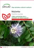 SAFLAX  - mučenka - Passiflora incarnata - 5 Semena Náhled obrázku produktu 1