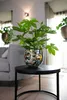 A potted plant sits on a small black table in a living room setting. Produktbild-Vorschau