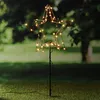 A lighted star decoration is placed on a lawn in front of trees. Produktbild-Vorschau