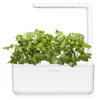 Click & Grow Cilantro/Coriander, Roślina jadalna, Kolendra, Podgląd zdjęcia produktu 11
