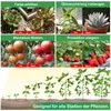 A collage of images demonstrating plant growth and benefits, with text overlays. Produktbild-Vorschau