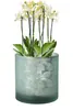 Vase Übertopf aus Glas grün silber mit Blattmuster 24,5cm, Produktbild-Vorschau 3