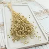 Flachs Getrocknete - (Leinen) - Gebleicht Produktbild-Vorschau 2
