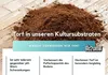 Bio2Grow Farm Mix Light 1 x 40 Liter - Grow Erde Indoor & Produktbild-Vorschau 5