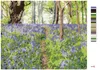 Zuty - Malen nach Zahlen - BLUMEN UND BÄUME, IRLAND (TED Produktbild-Vorschau 3