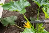 Gardena NatureLine Kultivator Gardena 17108-20 Produktbild-Vorschau 4