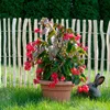 Staketenzaun Gartenzaun Zaunlatte Holzzaun Haselnussholz Produktbild-Vorschau 4