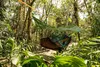 AMAZONAS Outdoor Tarpaulin Traveller Tarp Podgląd zdjęcia produktu 34