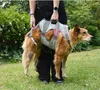 Ruffwear Hundegeschirr DoubleBack™ Harness Cloudburst Gray, Produktbild-Vorschau 16