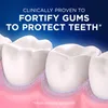 Crest Pro-Gesundheit Zahnfleisch entgiften sanft Whitening Produktbild-Vorschau 9